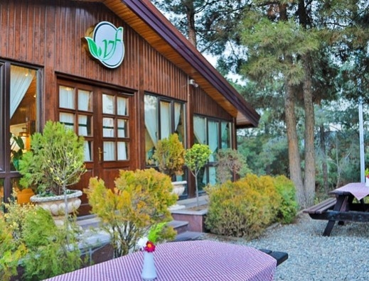 بهار تاتا gallery 4