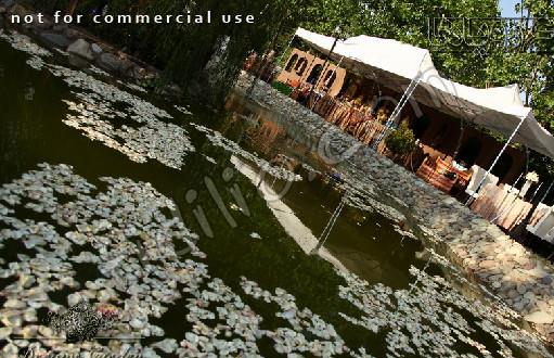باغ رویاها gallery 5