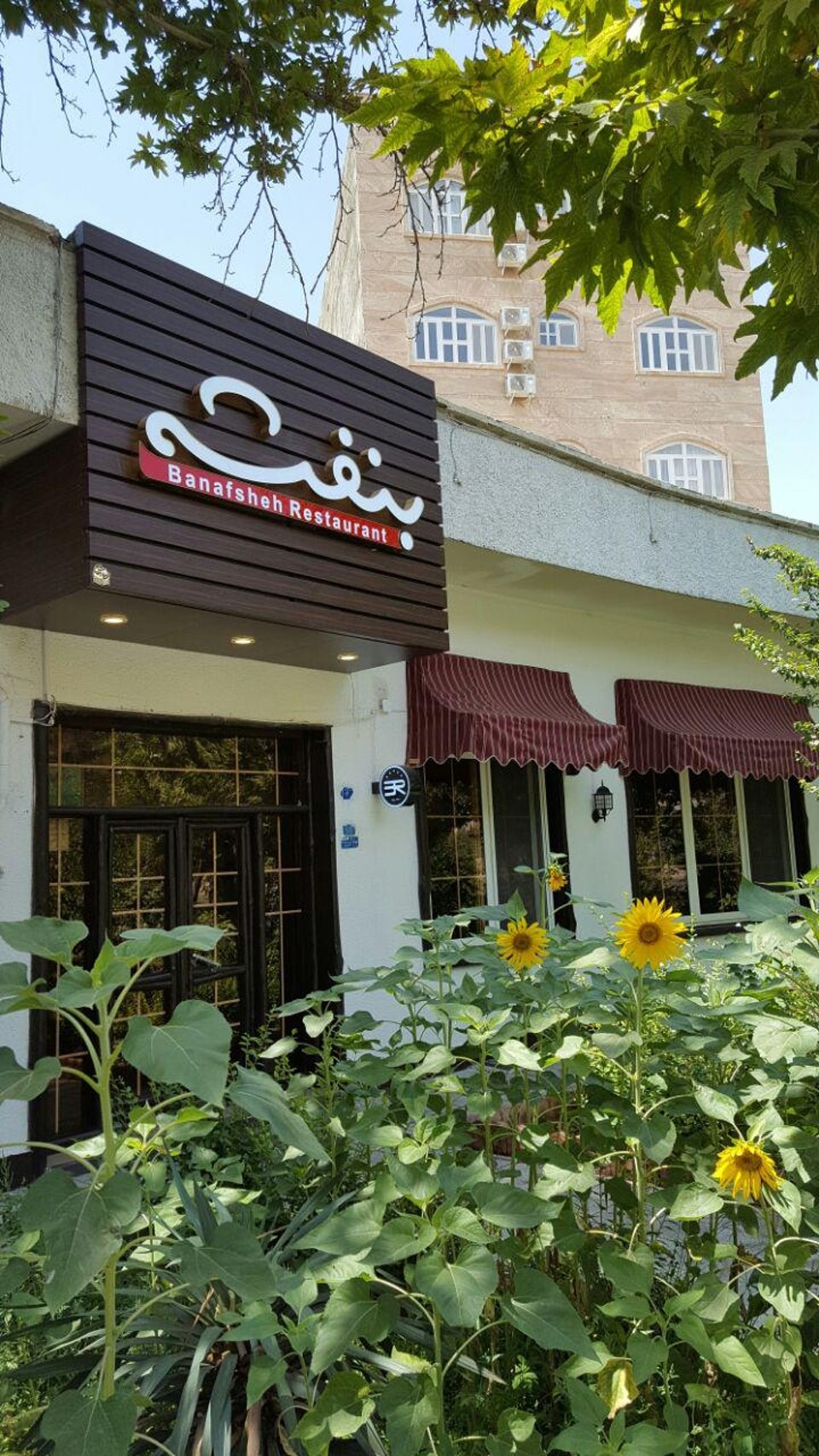 بنفشه gallery 3