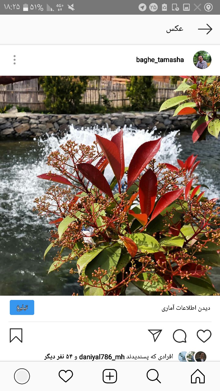 باغ تماشا gallery 21