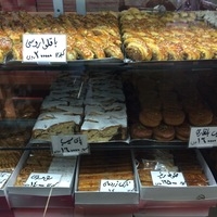 بلوط gallery 5