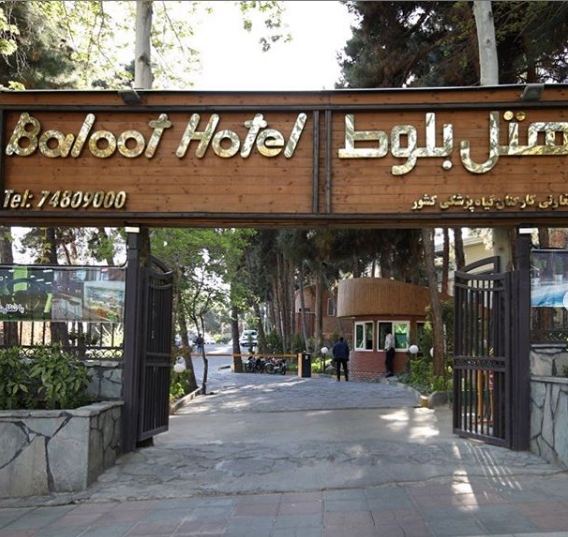 بلوط (ولنجک) gallery 2