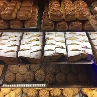 بلوط gallery 4
