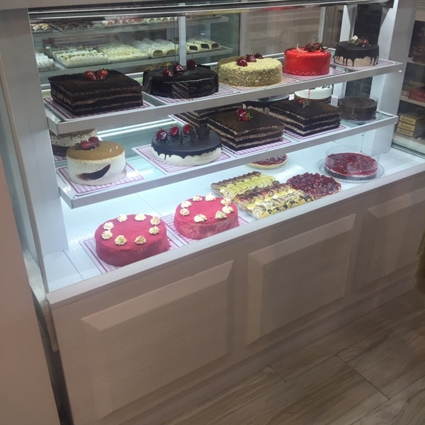 فرد توکلی gallery 10