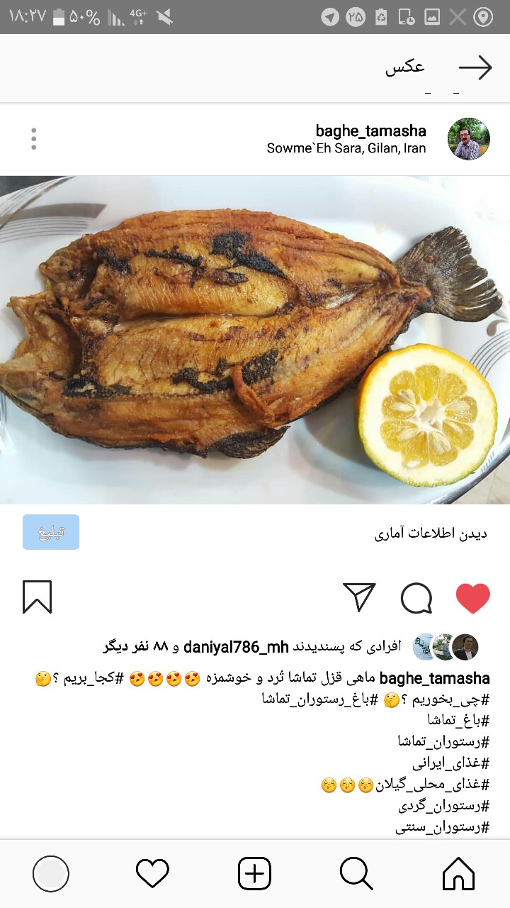 باغ تماشا gallery 13