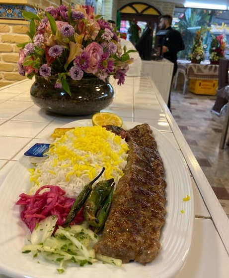 شایسته gallery 3