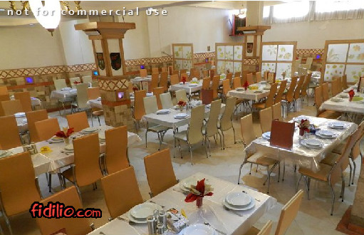 معین درباری gallery 4