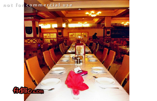 معین درباری gallery 3