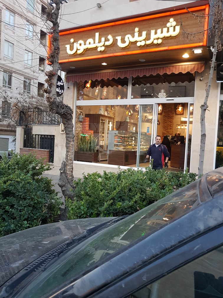 دیلمون (شهرآرا) gallery 2