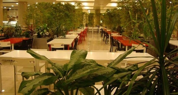 فودکورت دامون gallery 18