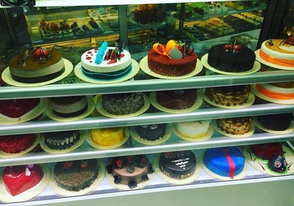 سناتور gallery 1