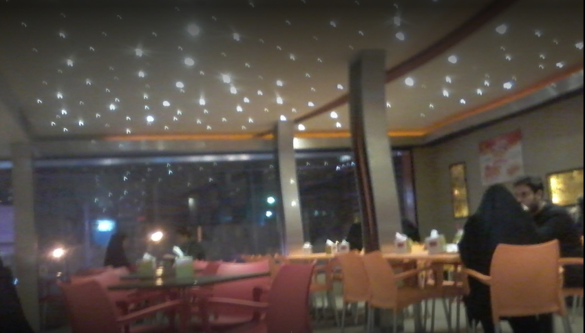 دلفین gallery 4