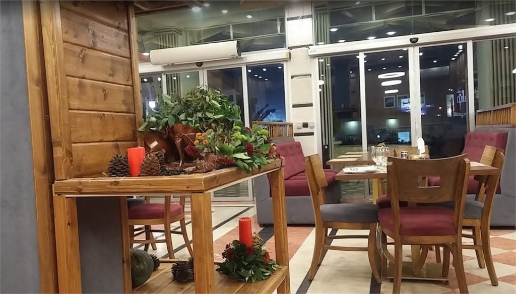 قصر ماهی gallery 5