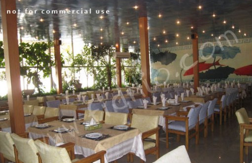 حاتم gallery 2