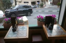 نخل (ولنجک) gallery 3