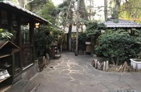 سپیدار gallery 3